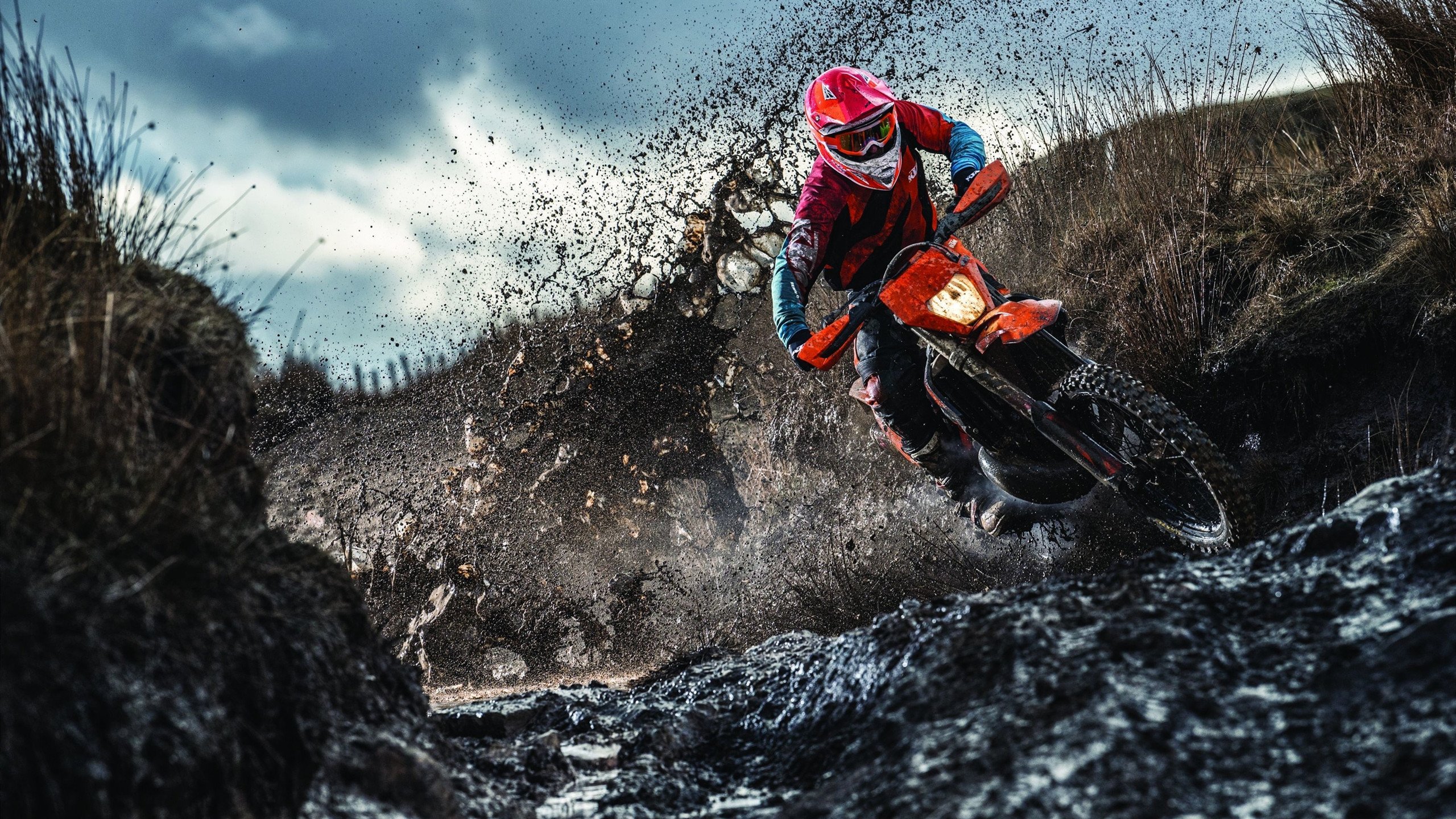 FaZe电竞品牌拓展LOL内容创作，fatail电竞